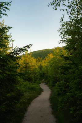 Photograph 5