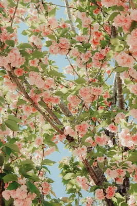 Photograph 6
