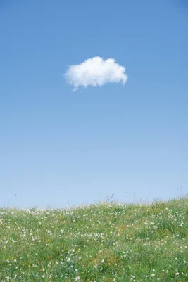 Photograph 8