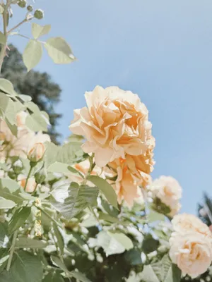 Photograph 9
