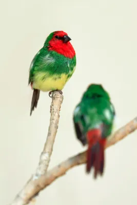 Photograph 11