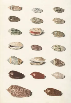 Photograph 14