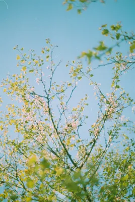 Photograph 15