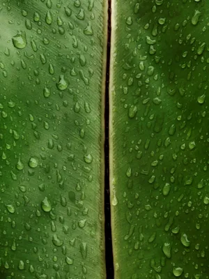 Photograph 29