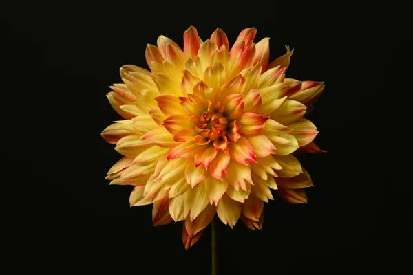 Photograph 47